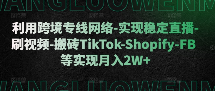 利用跨境专线网络-实现稳定直播-刷视频-搬砖TikTok-Shopify-FB等实现月入2W+【揭秘】-梦想波浪