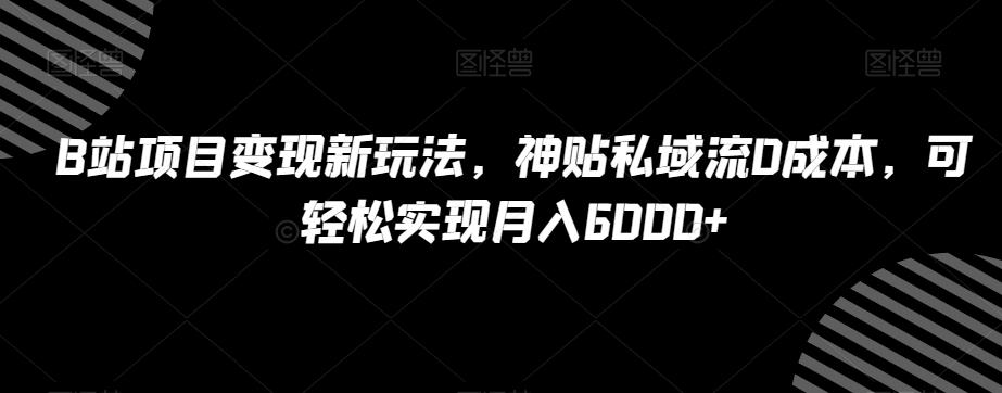B站项目变现新玩法，神贴私域流0成本，可轻松实现月入6000+【揭秘】-梦想波浪