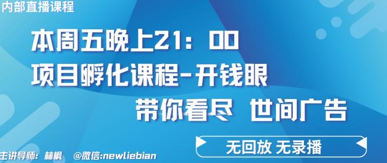 4.26日内部回放课程《项目孵化-开钱眼》赚钱的底层逻辑【揭秘】-梦想波浪