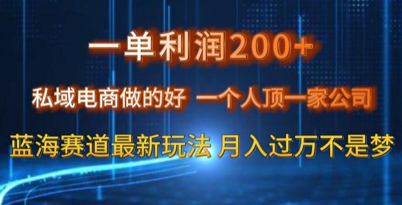 一单利润200私域电商做的好，一个人顶一家公司蓝海赛道最新玩法【揭秘】-梦想波浪