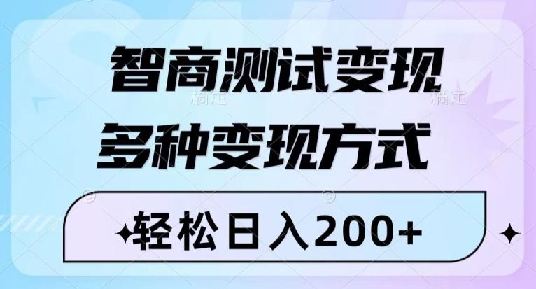 智商测试变现，轻松日入200+，几分钟一个视频，多种变现方式-梦想波浪