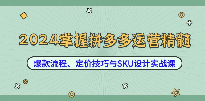 2024掌握拼多多运营精髓：爆款流程、定价技巧与SKU设计实战课-梦想波浪