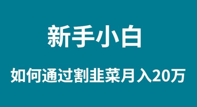(9308期)新手小白如何通过割韭菜月入 20W-梦想波浪