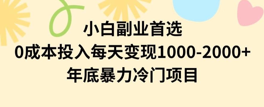 小白副业首选，0成本投入，每天变现1000-2000年底暴力冷门项目【揭秘】-梦想波浪