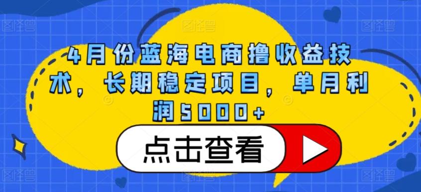 4月份蓝海电商撸收益技术，长期稳定项目，单月利润5000+【揭秘】-梦想波浪