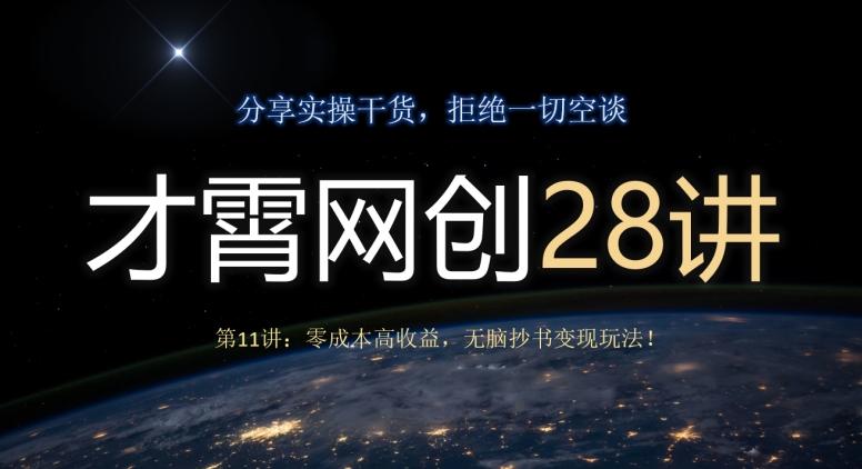 才霄网创28讲第11讲：零成本高收益，无脑抄书变现玩法！-梦想波浪
