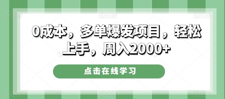 0成本，多单爆发项目，轻松上手，周入2000+-梦想波浪
