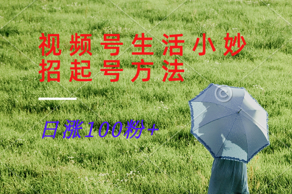 视频号生活小妙招分享赛道， 起号涨粉新方法，日涨100粉-梦想波浪