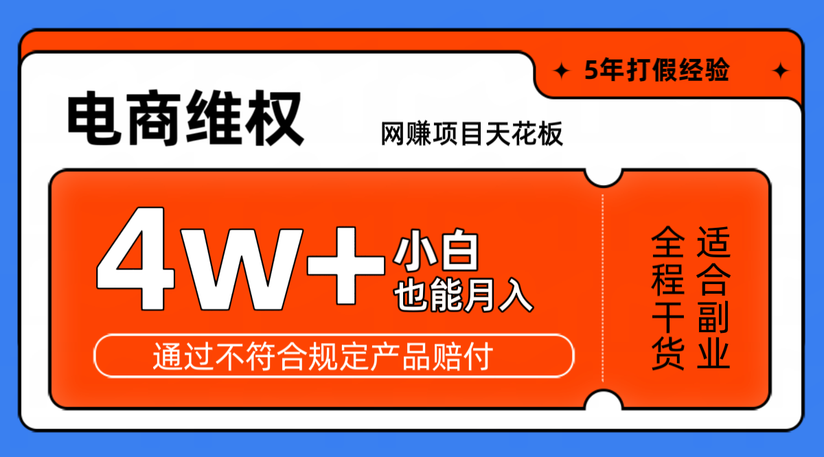 网赚项目天花板电商购物维权月收入稳定4w+独家玩法小白也能上手-梦想波浪