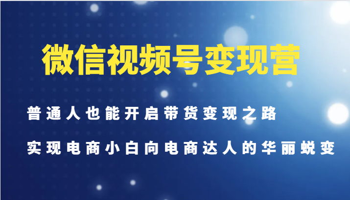 微信视频号变现营-普通人也能开启带货变现之路，实现电商小白向电商达人的华丽蜕变-梦想波浪