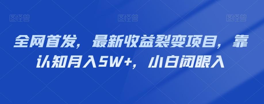 全网首发，最新收益裂变项目，靠认知月入5W+，小白闭眼入-梦想波浪