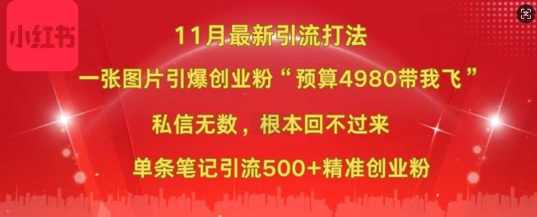小红书11月最新图片打粉，一张图片引爆创业粉，“预算4980带我飞”，单条引流500+精准创业粉-梦想波浪