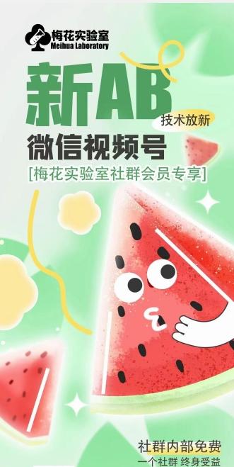 梅花实验室2024年AB技术视频号AB合成破解版-梦想波浪