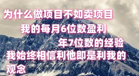 做项目不如卖项目，每月6位数盈利，年7位数经验-梦想波浪