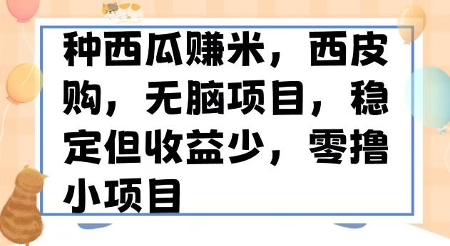 种西瓜赚米，西皮购稳定长久零撸小项目-梦想波浪