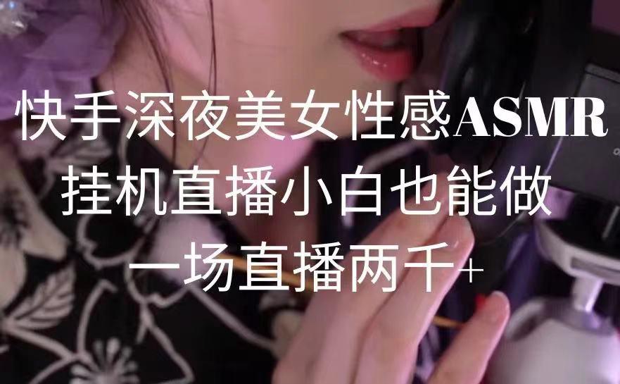 快手深夜美女性感ASMR挂机直播，小白也能做，一场直播两千+-梦想波浪