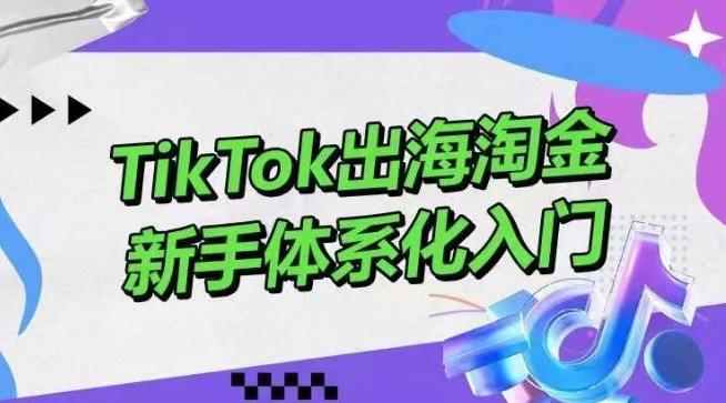 TikTok出海淘金，新手体系化入门，零基础快速入门，掌握短视频、直播带货等引流到变现的知识-梦想波浪