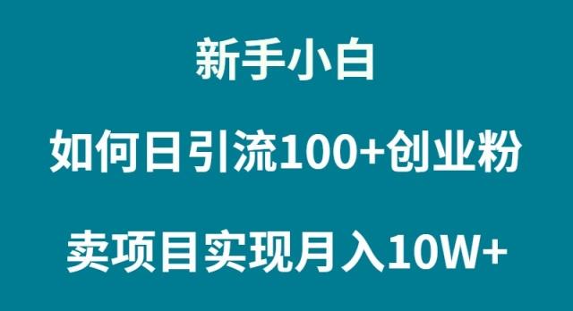 (9556期)新手小白如何通过卖项目实现月入10W+-梦想波浪