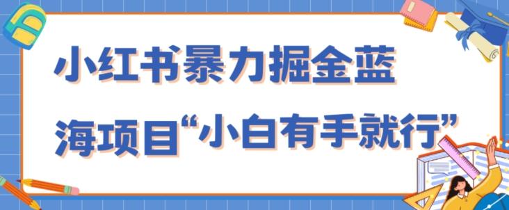 小红书暴力掘金蓝海项目，轻松日入1000+、小白有手就行（附新引流方法，不违规）-梦想波浪