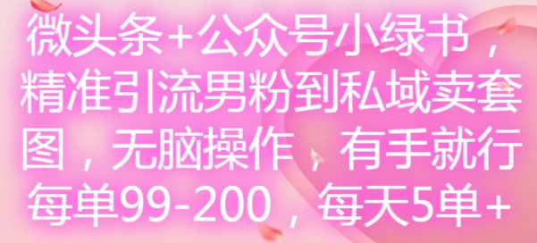 微头条+公众号小绿书，精准引流男粉到私域卖套图，无脑操作，有手就行，每单99-200，每天5单-梦想波浪