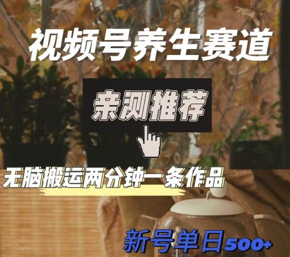 视频号养生赛道暴力掘金,无脑搬运,两分钟一条作品-新日单入500+-梦想波浪
