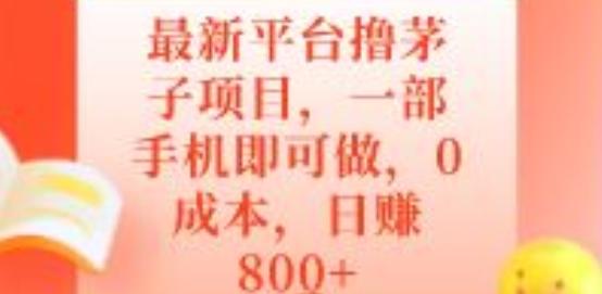 最新平台撸茅子项目，一部手机即可做，0成本，日赚800+-梦想波浪