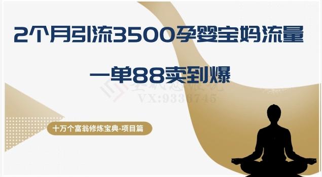 十万个富翁修炼宝典之13.2个月引流3500孕婴宝妈流量，一单88卖到爆-梦想波浪