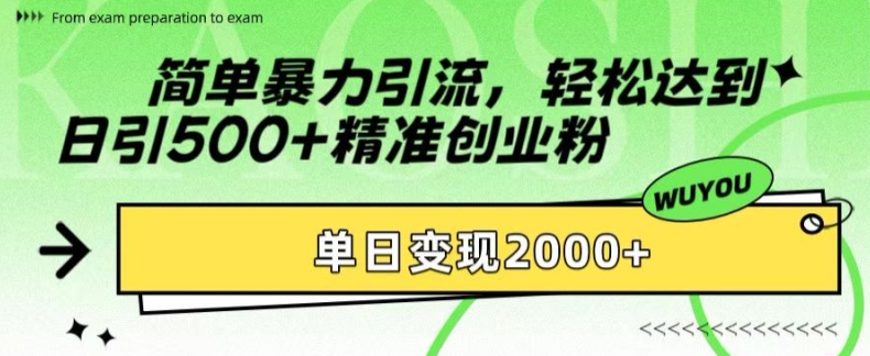 简单暴力引流,轻松达到日引500+精准创业粉,单日变现2k【揭秘】-梦想波浪