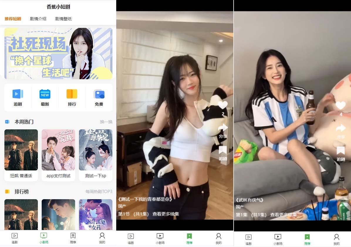 (8542期)小剧场短剧影视系统源码 全开源 带支付收益+会员机制+代理推广等模式【…-梦想波浪