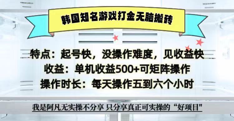 全网首发海外知名游戏打金无脑搬砖单机收益500+ 即做!即赚!当天见收益!-梦想波浪